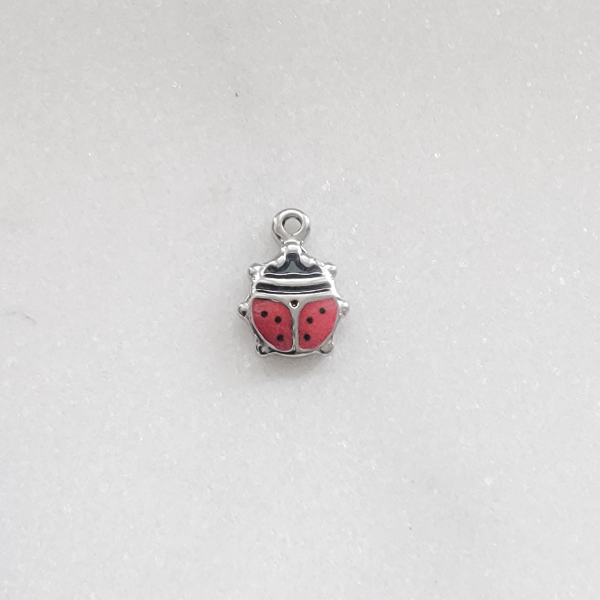Small Ladybird