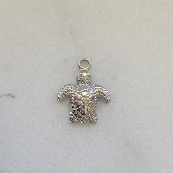 Small Baby Turtle