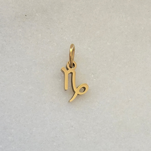Small Zodiac - Capricorn
