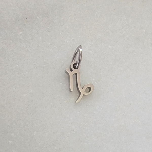 Small Zodiac - Capricorn