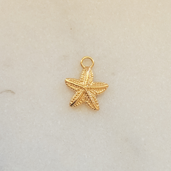 Small Starfish