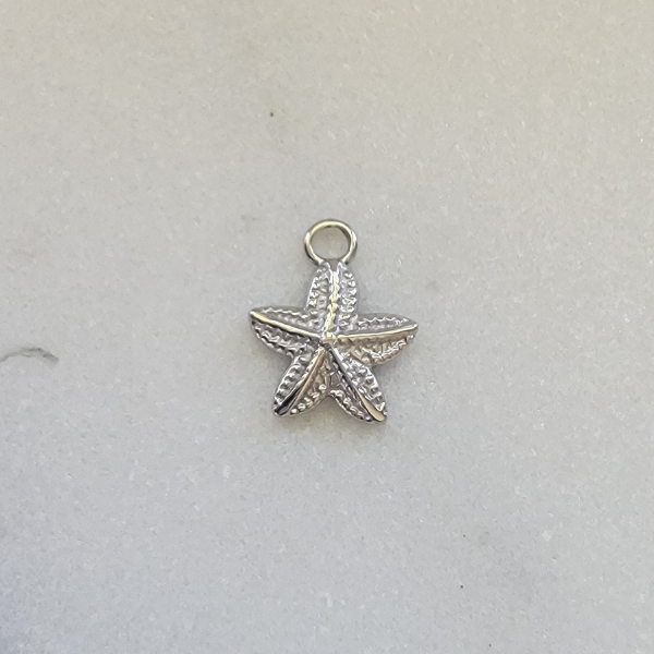 Small Starfish