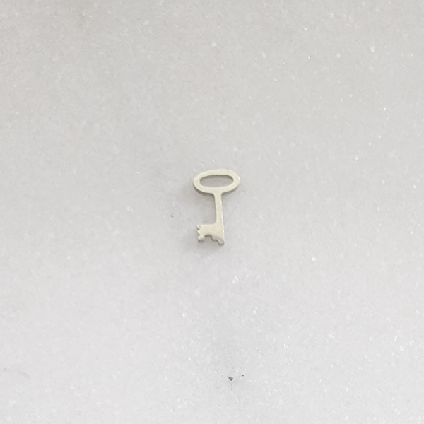 Tiny Skeleton Key