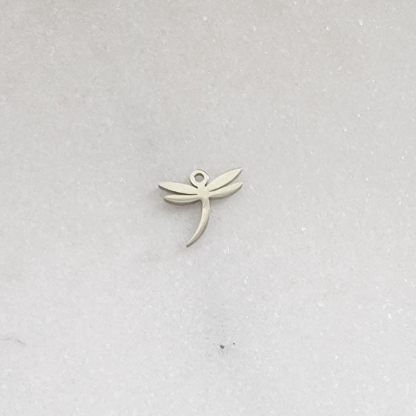 Tiny Dragonfly