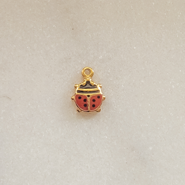 Small Ladybird