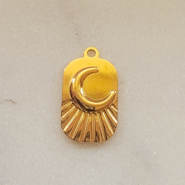 Large Moon Dog-tag