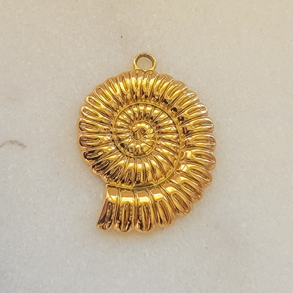 Large Nautilus shell