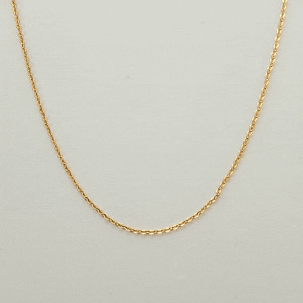 Ruby Fixed Charm Necklace