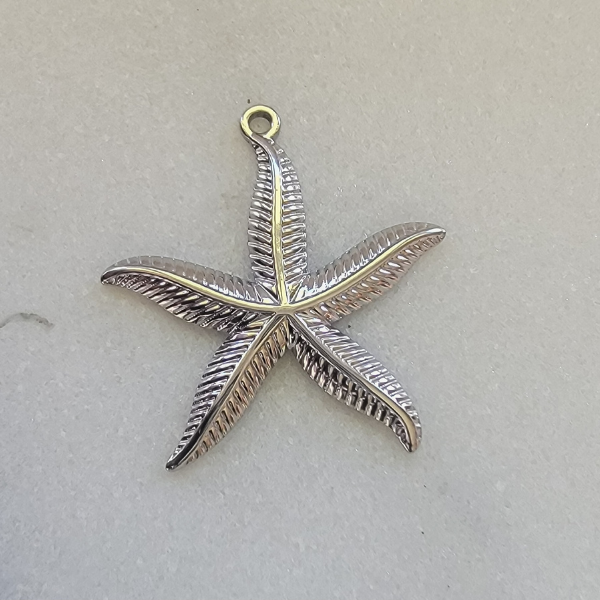 Large Starfish