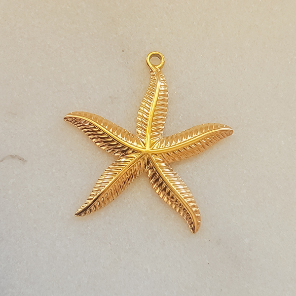 Large Starfish